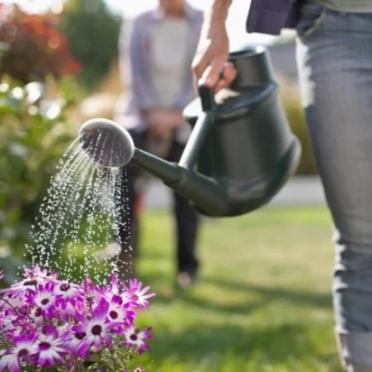 Watering can metaphor for trusts — assets flow out gradually
